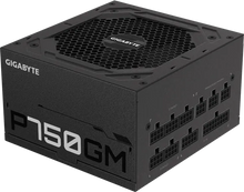 Gigabyte 750W 80 Plus Gold Power Supply GP-P750GM