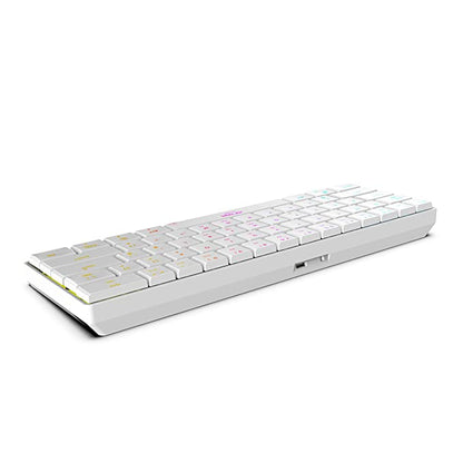 Ant Esports MK1500 Mini 60% Pro RGB Wireless Gaming Keyboard