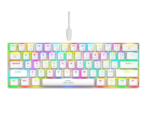 Ant Esports MK1300 V2 Mechnical Wired Gaming keyboard with RGB (White)