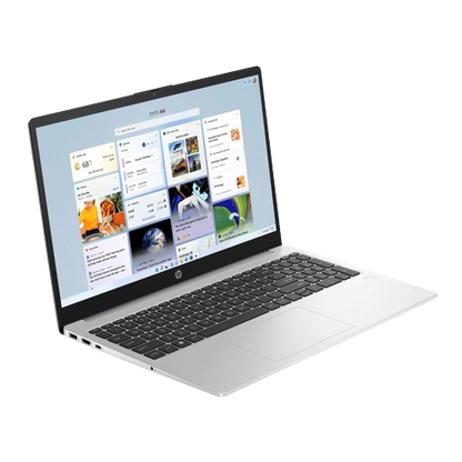 HP 250R G10 Business Laptop 15.6-Inch FHD IPS Display with Intel Core 3-100U Processor, 8GB DDR4 RAM, 512GB NVMe SSD, Intel Graphics, Turbo Silver
