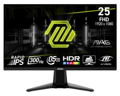 MSI MAG 255XF 25 Inch FHD Gaming Monitor